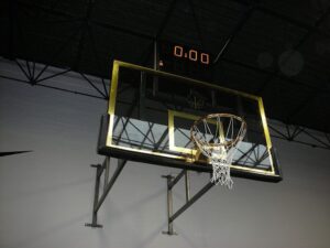 Pro Basketball for schools