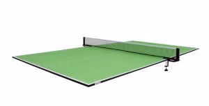 f6844e981300117-9x5-table-top-green-900x-jpg