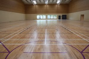 Court markings